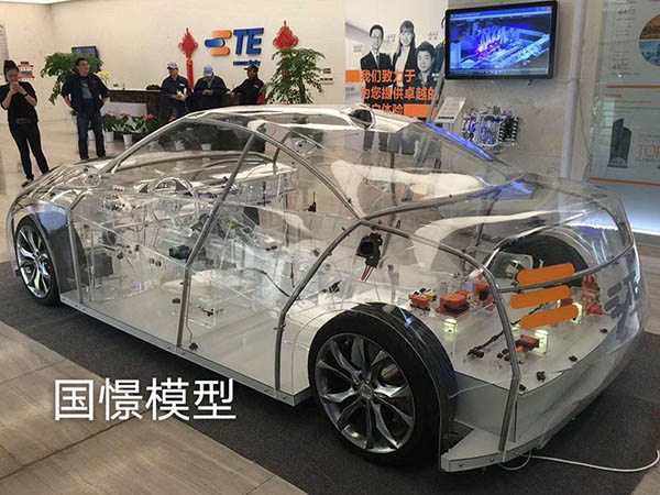 澄迈县透明车模型